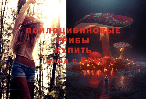 бошки Володарск