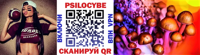 Псилоцибиновые грибы Psilocybe  Абакан 